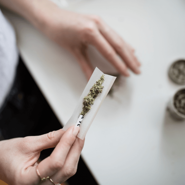 Marihuana medyczna – na czym polega leczenie konopiami?